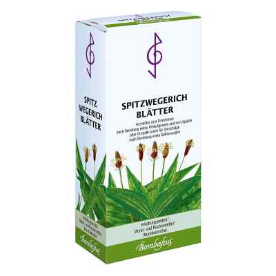 SPITZWEGERICH Liście Bombastus