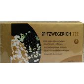 Spitzwegerich Tee Filterbtl. 25 szt. od Alexander Weltecke GmbH & Co KG PZN 01245465