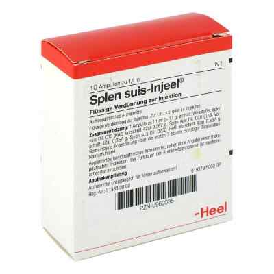 Splen Suis Injeele