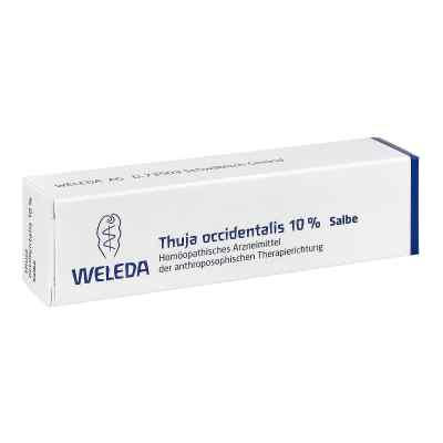 Thuja Occidentalis 10% maść 25 g od WELEDA AG PZN 01628516