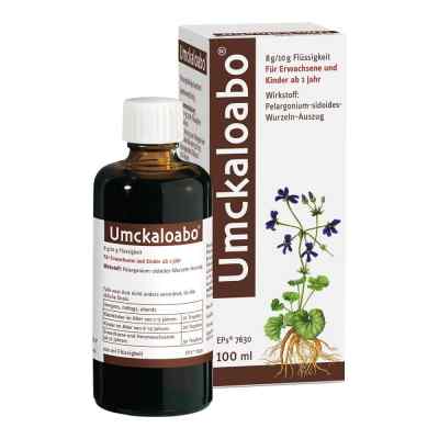 Umckaloabo krople z Pelargonią afrykańską 100 ml od Dr.Willmar Schwabe GmbH & Co.KG PZN 00930673