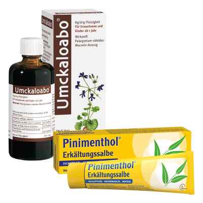 Umckaloabo + Pinimenthol maść na przeziębienie 1 szt. od Dr.Willmar Schwabe GmbH & Co.KG PZN 08100273