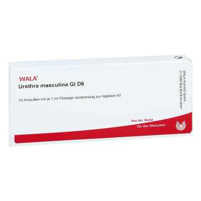 Urethra Masculina Gl D 6 Amp. 10X1 ml od WALA Heilmittel GmbH PZN 00491328