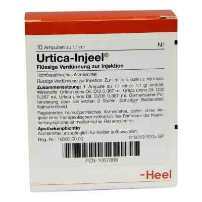 Urtica Injeele