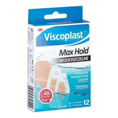 VISCOPLAST Max Hold