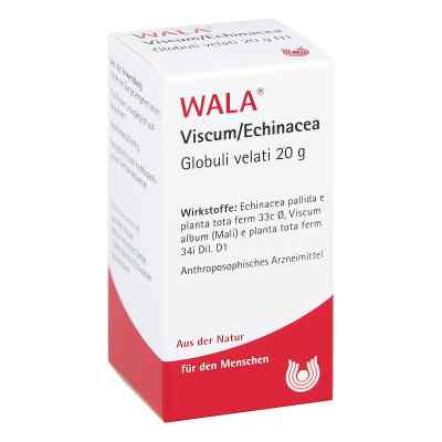Viscum Echinacea Globuli 20 g od WALA Heilmittel GmbH PZN 08788602