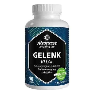 Vitamaze GELENK VITAL