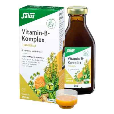 Vitamin B Komplex tonik 250 ml od SALUS Pharma GmbH PZN 06149246