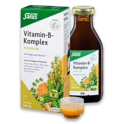 Vitamin B Komplex tonik 250 ml od SALUS Pharma GmbH PZN 06149246