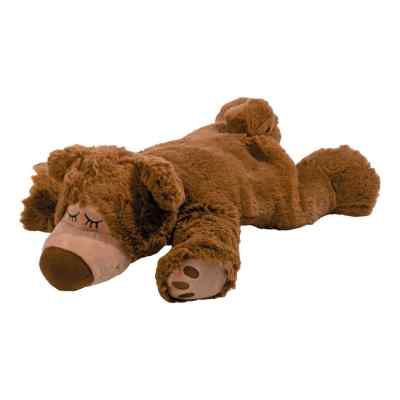 Wärme Stofftier Sleepy Bear braun 1 szt. od Greenlife Value GmbH PZN 01351345