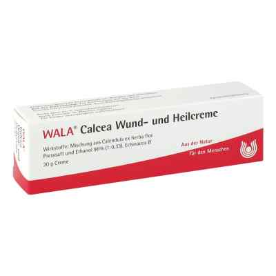 Wala Calcea krem regeneracyjno-ochronny  30 g od WALA Heilmittel GmbH PZN 03932916