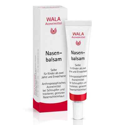 Wala maść do nosa 10 g od WALA Heilmittel GmbH PZN 02198437