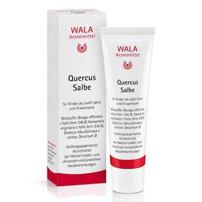 Wala Quercus maść na hemoroidy 30 g od WALA Heilmittel GmbH PZN 01448458