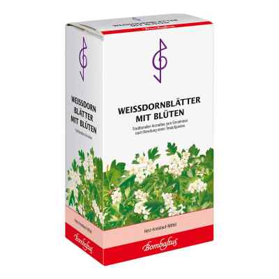 Weissdornblätter mit Blüten Tee
