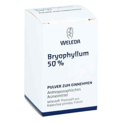 Weleda Bryophyllum 50% proszek  20 g od WELEDA AG PZN 02591904