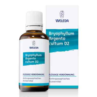 Weleda Bryophyllum Argento Cultum Roztwór D2 50 ml od WELEDA AG PZN 01571911