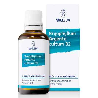 Weleda Bryophyllum Argento Cultum Roztwór D2 50 ml od WELEDA AG PZN 01571911