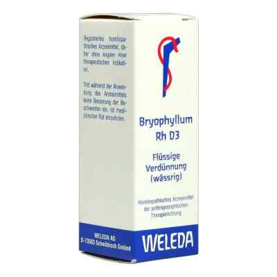 Weleda Bryophyllum Rh D 3 roztwór  20 ml od WELEDA AG PZN 01629964