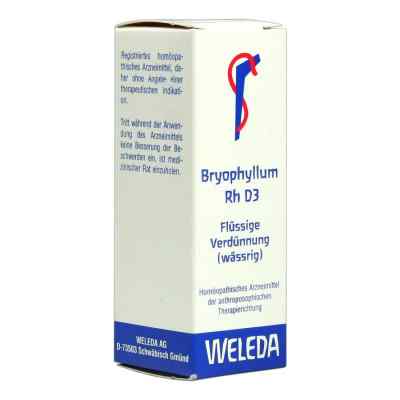 Weleda Bryophyllum Rh D 3 roztwór 20 ml od WELEDA AG PZN 01629964