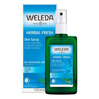 Weleda dezodorant o zapachu szałwii 100 ml od WELEDA AG PZN 00838246