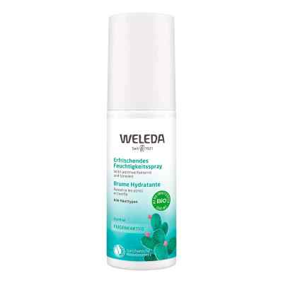 Weleda odświeżający nawilżający spray, opuncja 100 ml od WELEDA AG PZN 16201278