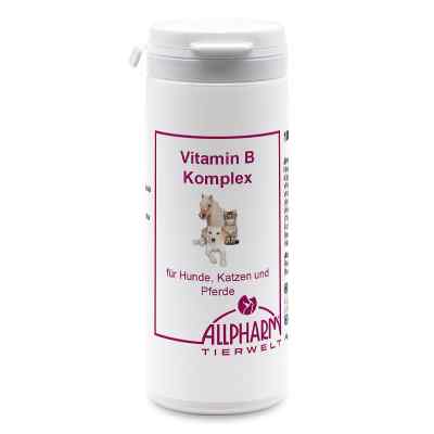 Witaminy z grupy B Kompleks Kapsułki dla psów 100 szt. od ALLPHARM Vertriebs GmbH PZN 13851981