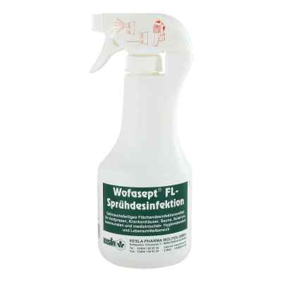 Wofasept Fl Flächen-u.instrumentendesinf.konzentr.