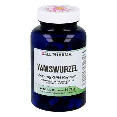 Yamswurzel 500 mg Gph w kapsułkach 120 szt. od GALL-PHARMA GmbH PZN 03378302